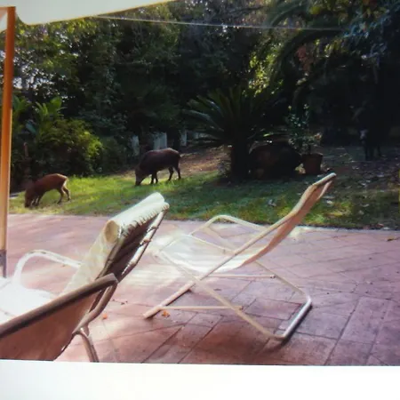 Giardino Degli Ulivi Hotel 2*